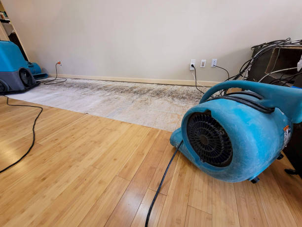 Professional Flood Damage Cleanup technician working in Elkton, KY